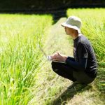 新之助の価格や販売先（通販）は？新潟のブランド米の美味しさも調査